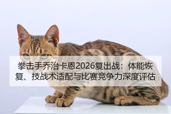 拳击手乔治卡恩2026复出战：体能恢复、技战术适配与比赛竞争力深度评估